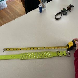 🐶 Medium/Large Dog Collar 🐶